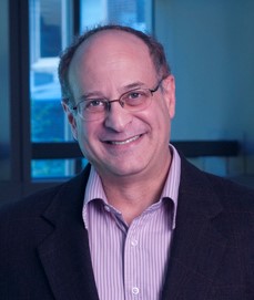 Professor David Srolovitz